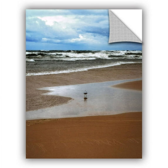 ArtWall Kevin Calkins "Lone Gull" ArtAppealz Removable Wall Art