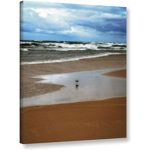 ArtWall Kevin Calkins "Lone Gull" Gallery-Wrapped Canvas