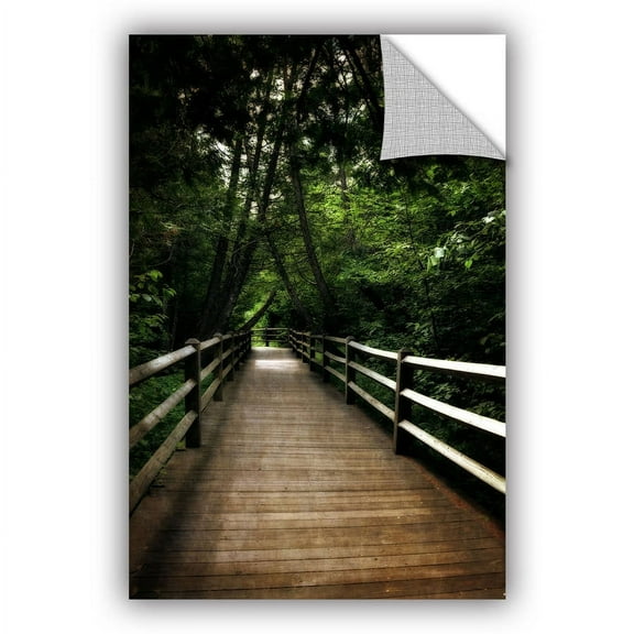 ArtWall Kevin Calkins "Old Path "ArtAppealz Removable Wall Art