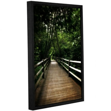 ArtWall Kevin Calkins "Old Path" Gallery-Wrapped Floater-Framed Canvas