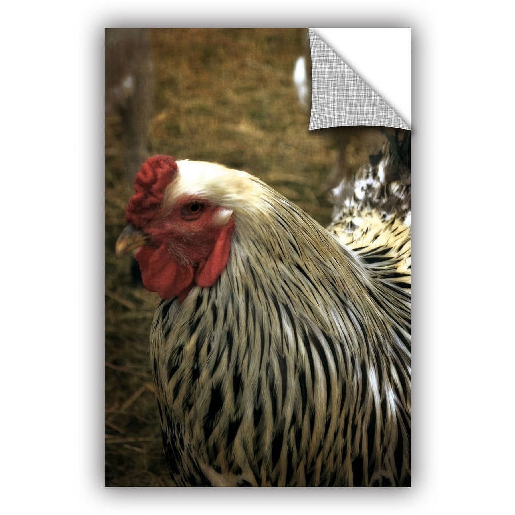 ArtWall  Kevin Calkins ' On The Farm' Artappealz Removable Wall Art