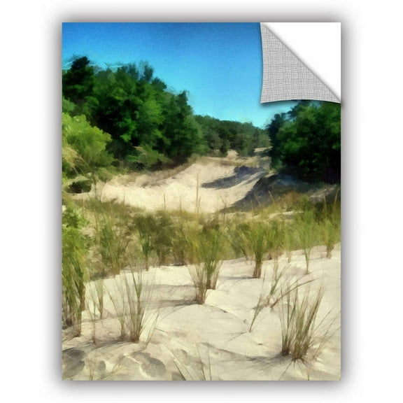 ArtWall Kevin Calkins "Peaceful Dunes" ArtAppealz Removable Wall Art