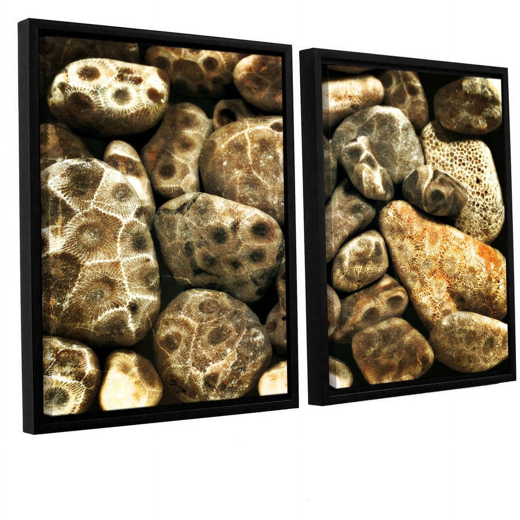ArtWall Kevin Calkins "Petoskey Stone Collage" 2-Piece Floater Framed Canvas Set