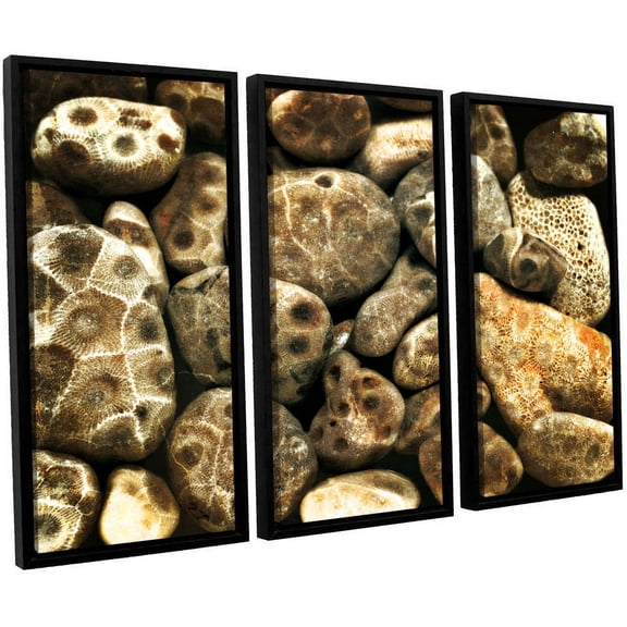 ArtWall Kevin Calkins "Petoskey Stone Collage" 3-Piece Floater Framed Canvas Set