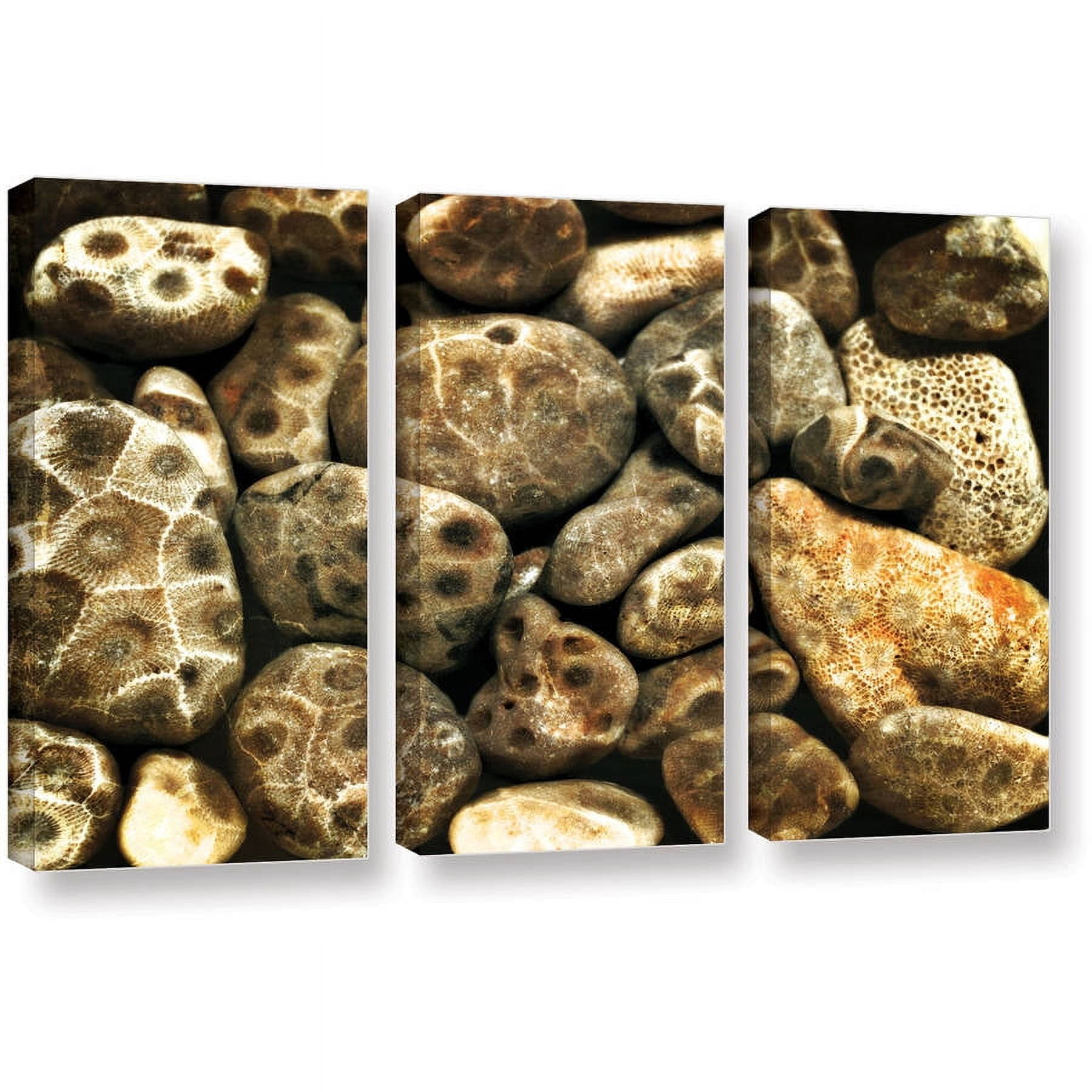 ArtWall Kevin Calkins "Petoskey Stone Collage" 3-Piece Gallery-Wrapped Canvas Set