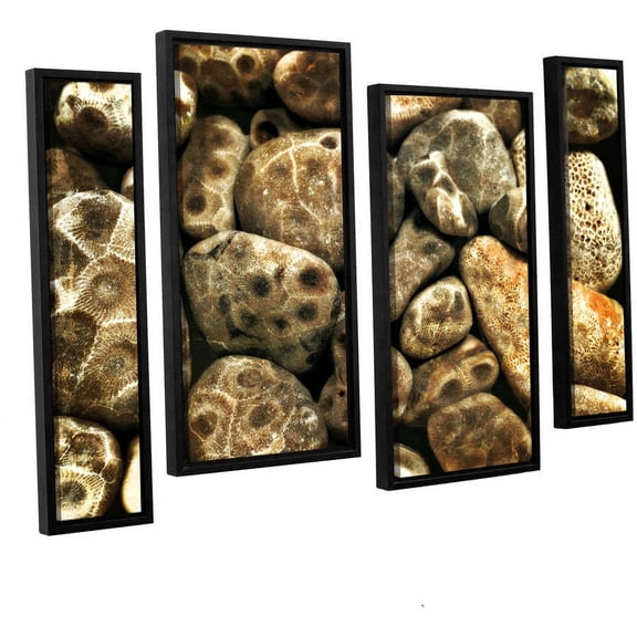 ArtWall Kevin Calkins "Petoskey Stone Collage" 4-Piece Floater Framed Canvas Staggered Set