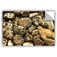 thumbnail image 1 of ArtWall Kevin Calkins "Petoskey Stone Collage" ArtAppealz Removable Wall Art, 1 of 1
