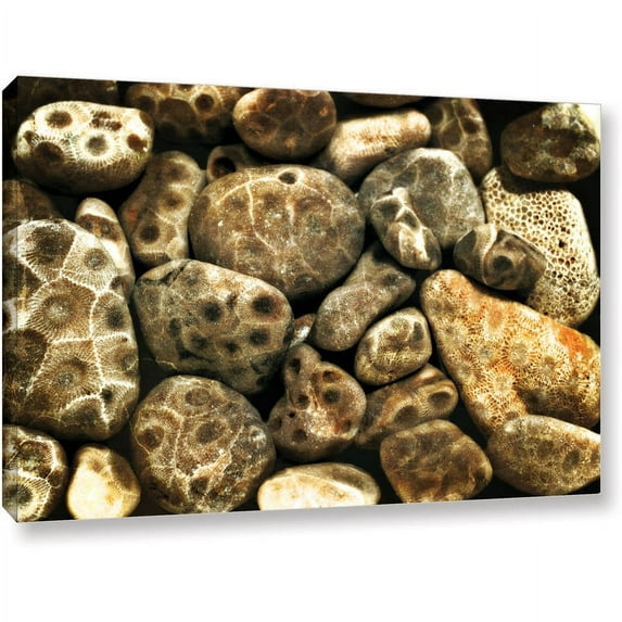 ArtWall Kevin Calkins "Petoskey Stone Collage" Gallery-Wrapped Canvas