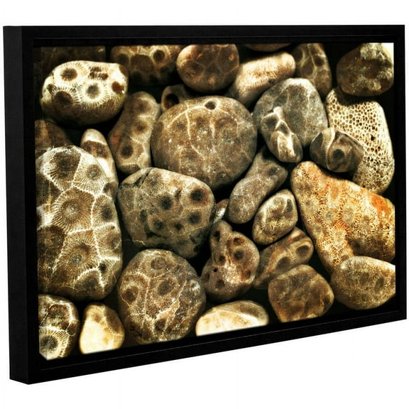 ArtWall Kevin Calkins "Petoskey Stone Collage" Gallery-Wrapped Floater-Framed Canvas
