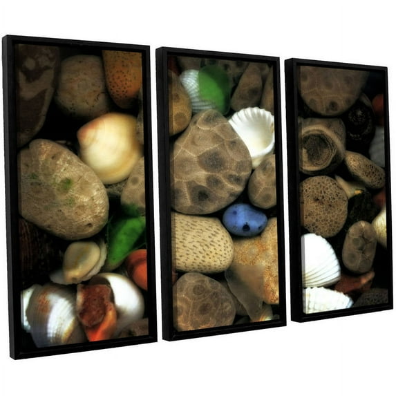 ArtWall Kevin Calkins "Petoskey Stone Collage III" 3-Piece Floater Framed Canvas Set