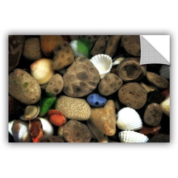 ArtWall Kevin Calkins "Petoskey Stone Collage III" ArtAppealz Removable Wall Art