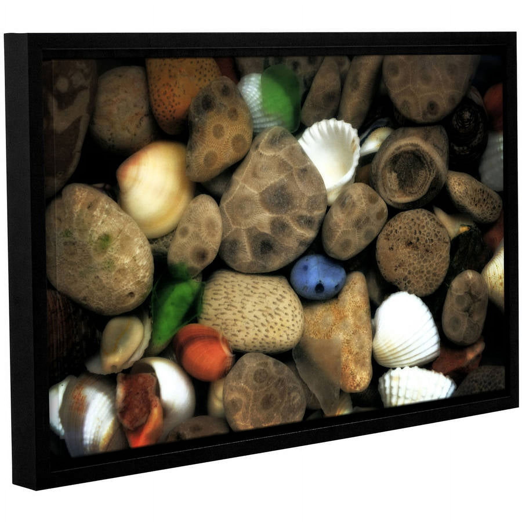 ArtWall Kevin Calkins "Petoskey Stone Collage III" Gallery-Wrapped Floater-Framed Canvas