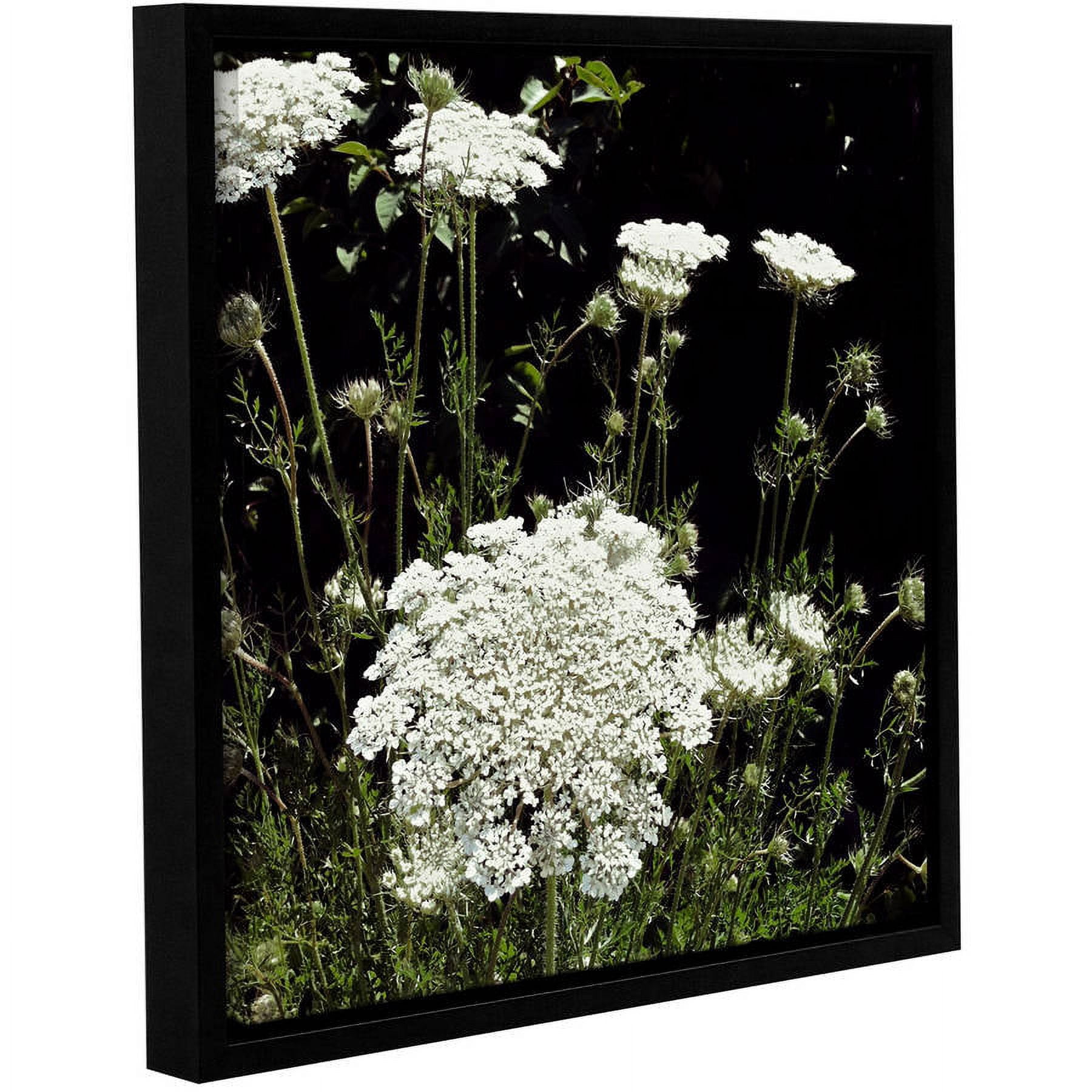 ArtWall Kevin Calkins "Queen Anne's Lace" Gallery-Wrapped Floater-Framed Canvas