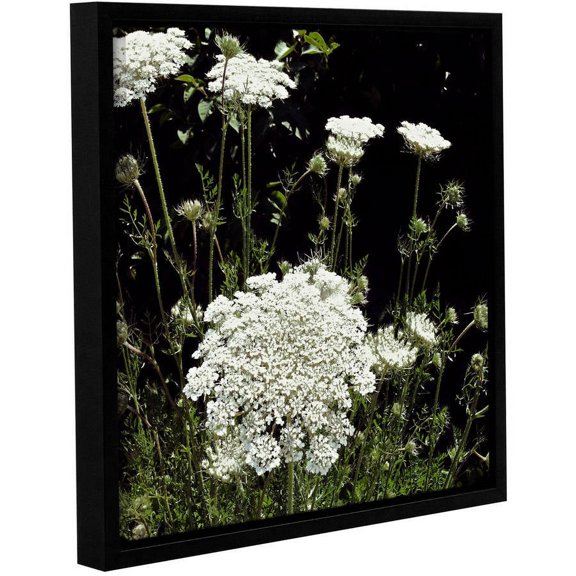 ArtWall Kevin Calkins "Queen Anne's Lace" Gallery-Wrapped Floater-Framed Canvas