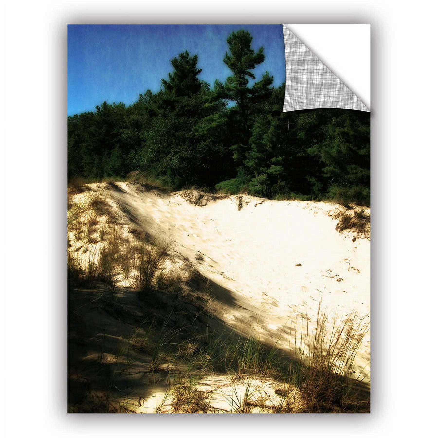 ArtWall Kevin Calkins "Shadows in the Dunes "ArtAppealz Removable Wall Art