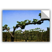 ArtWall Kevin Calkins "Spring Vineyard" ArtAppealz Removable Wall Art