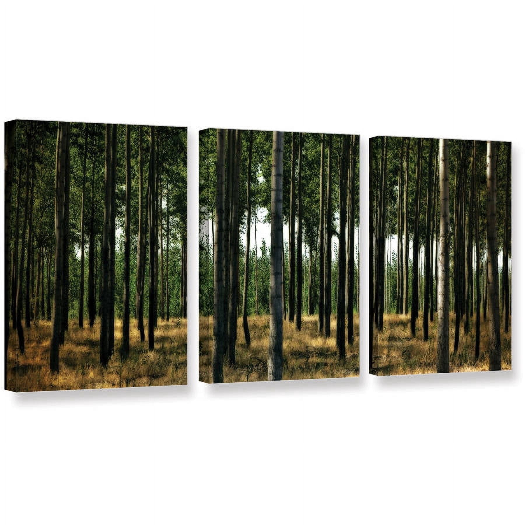 ArtWall Kevin Calkins "Standing Trees" 3-Piece Gallery-Wrapped Canvas Set