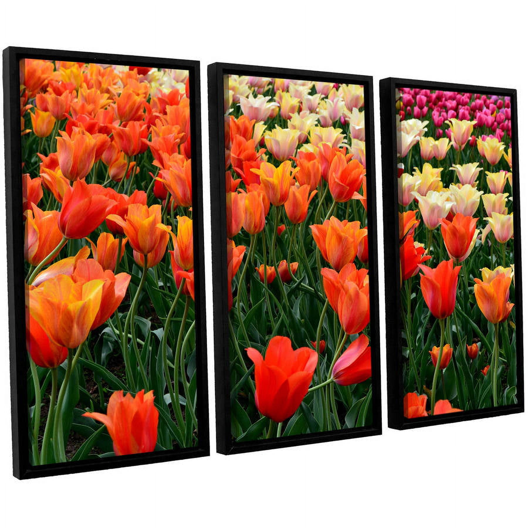ArtWall Kevin Calkins "Tulips in Spring" 3-Piece Floater Framed Canvas Set