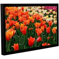 ArtWall Kevin Calkins "Tulips in Spring" Gallery-Wrapped Floater-Framed Canvas