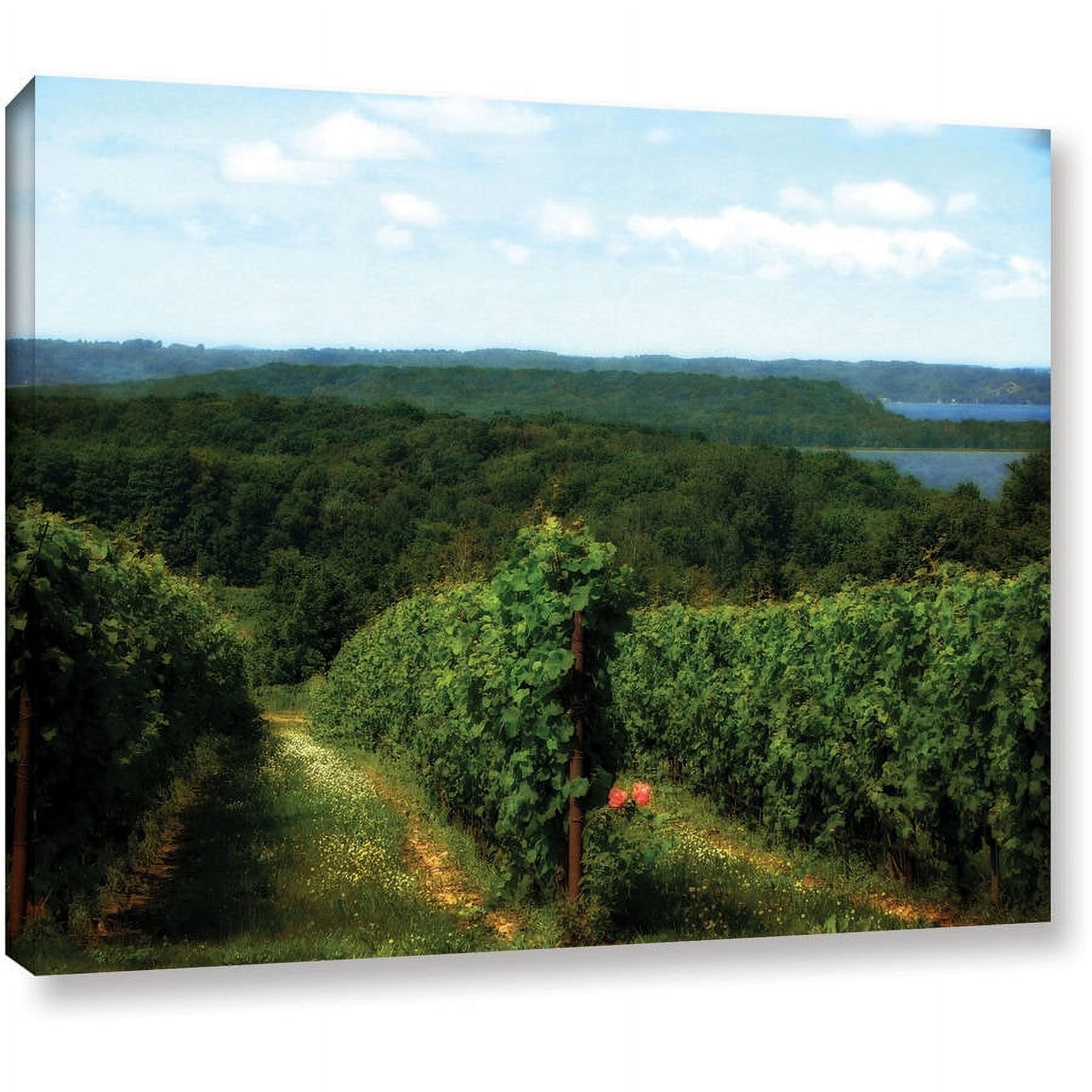 ArtWall Kevin Calkins "Vineyard on the Peninsula" Gallery-Wrapped Canvas