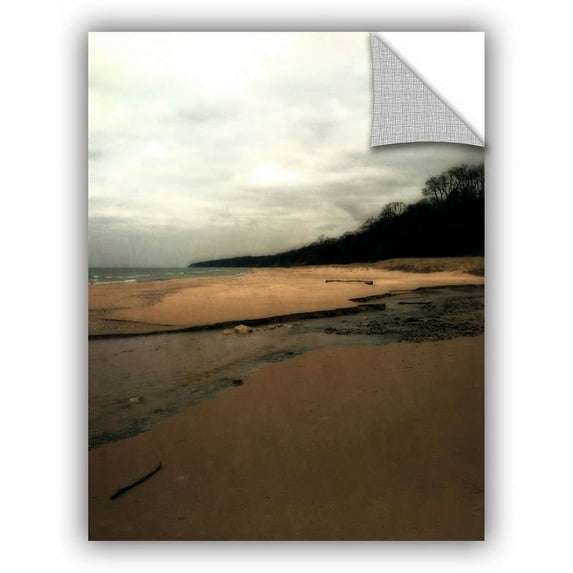 ArtWall Kevin Calkins "Winter Beach and Stream "ArtAppealz Removable Wall Art