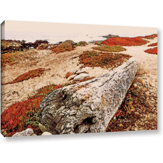 ArtWall Linda Parker "Log On Pebble Beach" Gallery-Wrapped Canvas