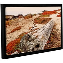 ArtWall Linda Parker "Log On Pebble Beach" Gallery-wrapped Floater-framed Canvas