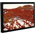 thumbnail image 1 of ArtWall Linda Parker "Red Ice On Beach I" Gallery-wrapped Floater-framed Canvas, 1 of 1