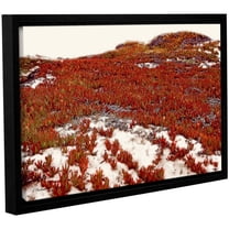 ArtWall Linda Parker "Red Ice On Beach I" Gallery-wrapped Floater-framed Canvas