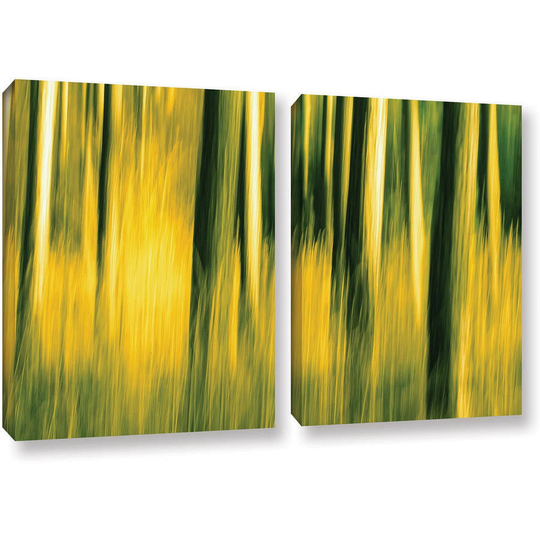 ArtWall Lindsey Janich "Camera Shake 2" 2-Piece Floater Framed Canvas Set