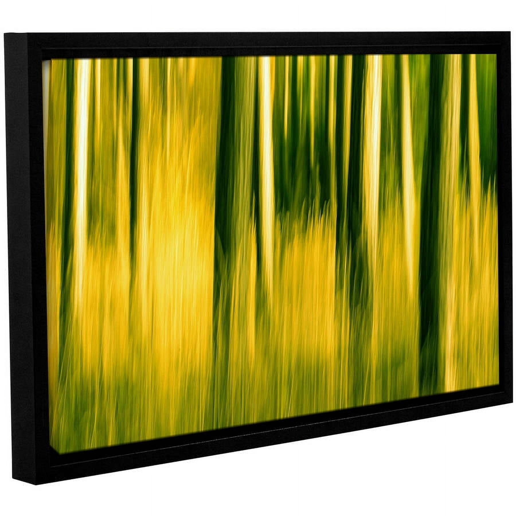 ArtWall Lindsey Janich "Camera Shake 2" Gallery-Wrapped Floater-Framed Canvas