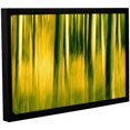 thumbnail image 1 of ArtWall Lindsey Janich "Camera Shake 2" Gallery-Wrapped Floater-Framed Canvas, 1 of 2