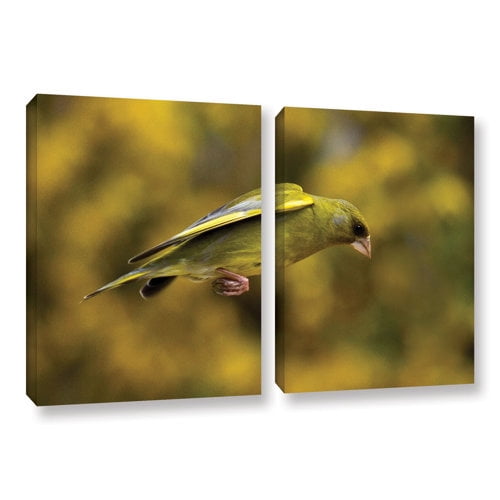 ArtWall Lindsey Janich "Finch Leapings 1" 2-Piece Gallery-Wrapped Canvas Set