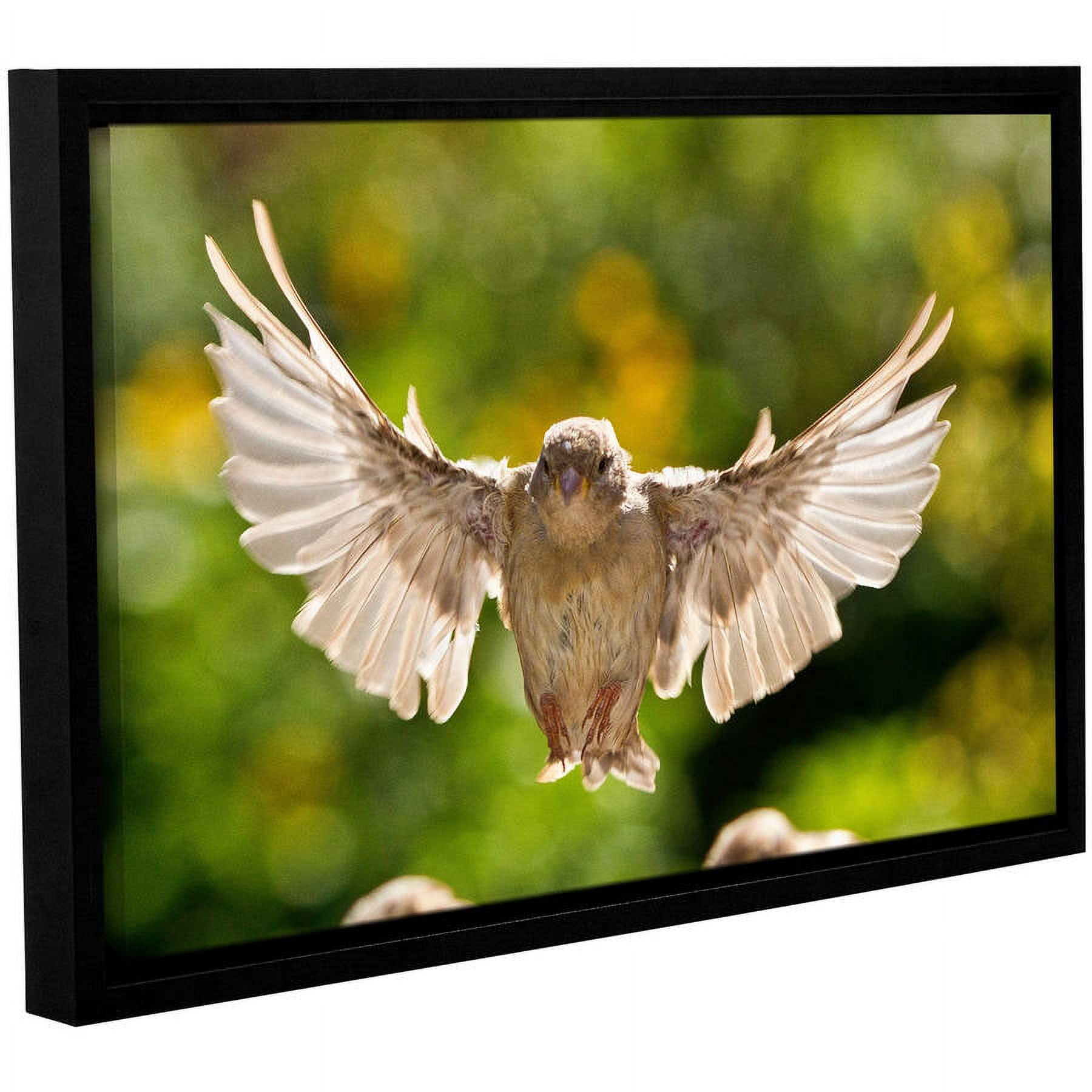 ArtWall Lindsey Janich "Flight" Gallery-Wrapped Floater-Framed Canvas