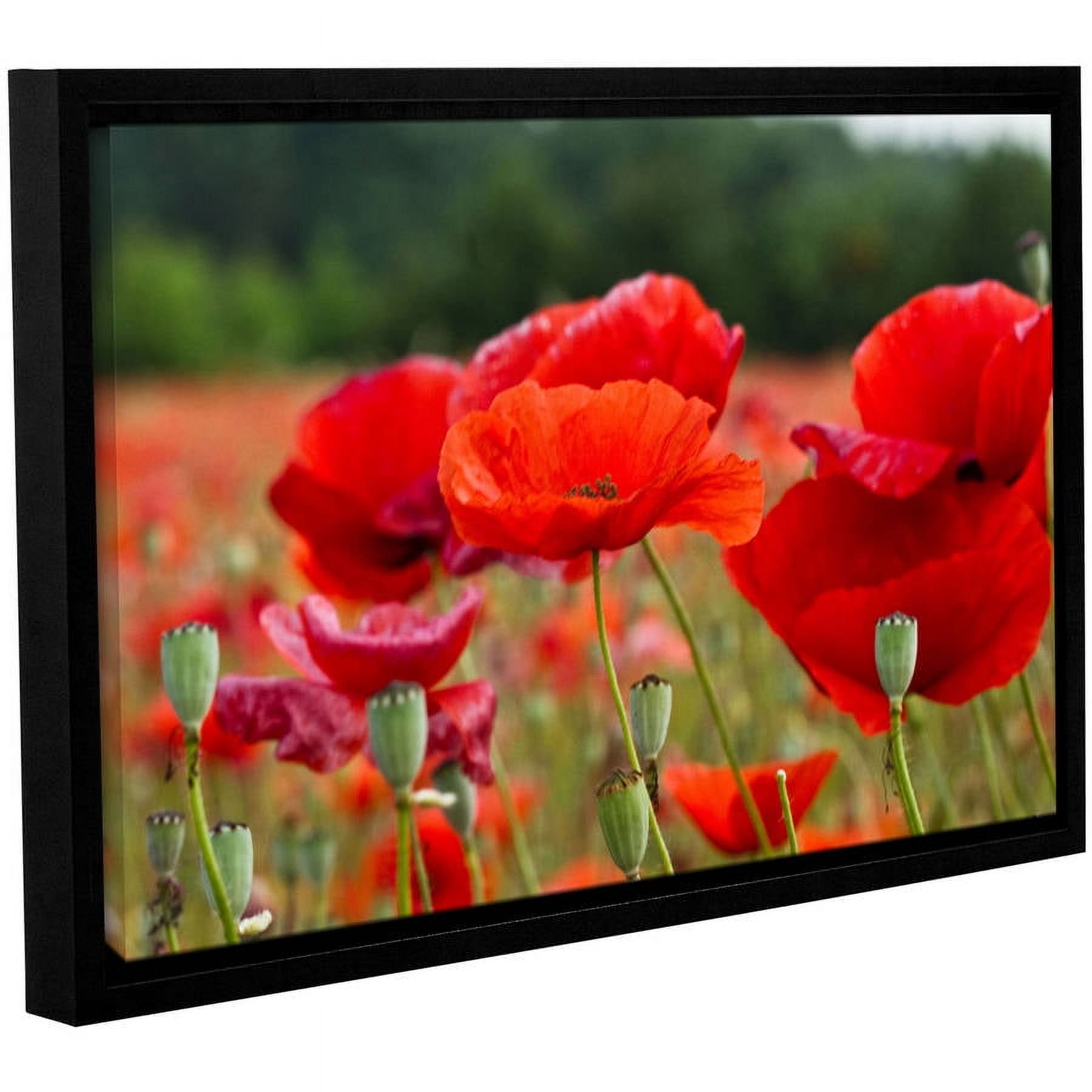 ArtWall Lindsey Janich "Red Flower 2" Gallery-Wrapped Floater-Framed Canvas