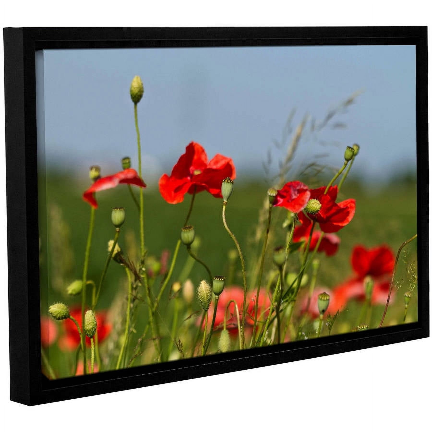 ArtWall Lindsey Janich "Red Flower" Gallery-Wrapped Floater-Framed Canvas