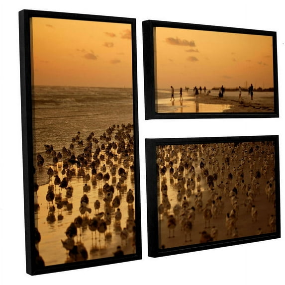 ArtWall Lindsey Janich "Seagulls III" 3-Piece Floater Framed Canvas Flag Set
