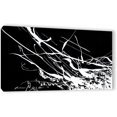 thumbnail image 1 of ArtWall Milen Tod "Contrasting" Gallery-wrapped Canvas, 1 of 7