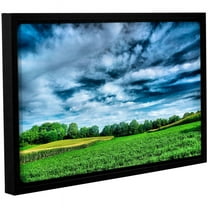 ArtWall Steve Ainsworth "Field of Dreams" Gallery-Wrapped Floater-Framed Canvas