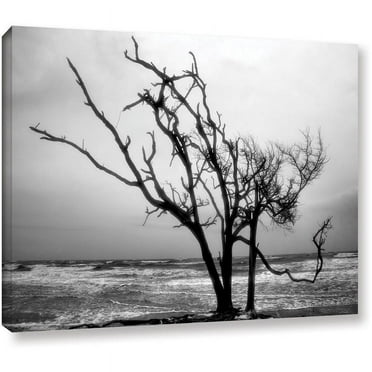 ArtWall Steve Ainsworth "Hanging On" Gallery-wrapped Canvas