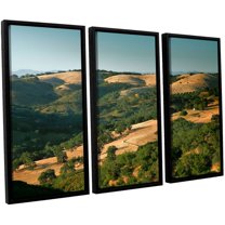 ArtWall Steve Ainsworth "Hills Of California" 3-Piece Floater-framed Canvas Set