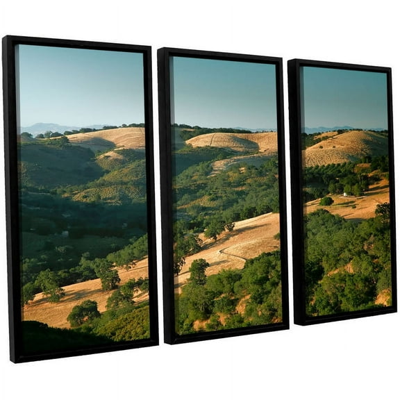 ArtWall Steve Ainsworth "Hills Of California" 3-Piece Floater-framed Canvas Set