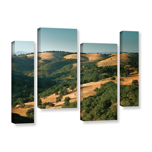 ArtWall Steve Ainsworth "Hills of California" 4-Piece Gallery-Wrapped Canvas Staggered Set