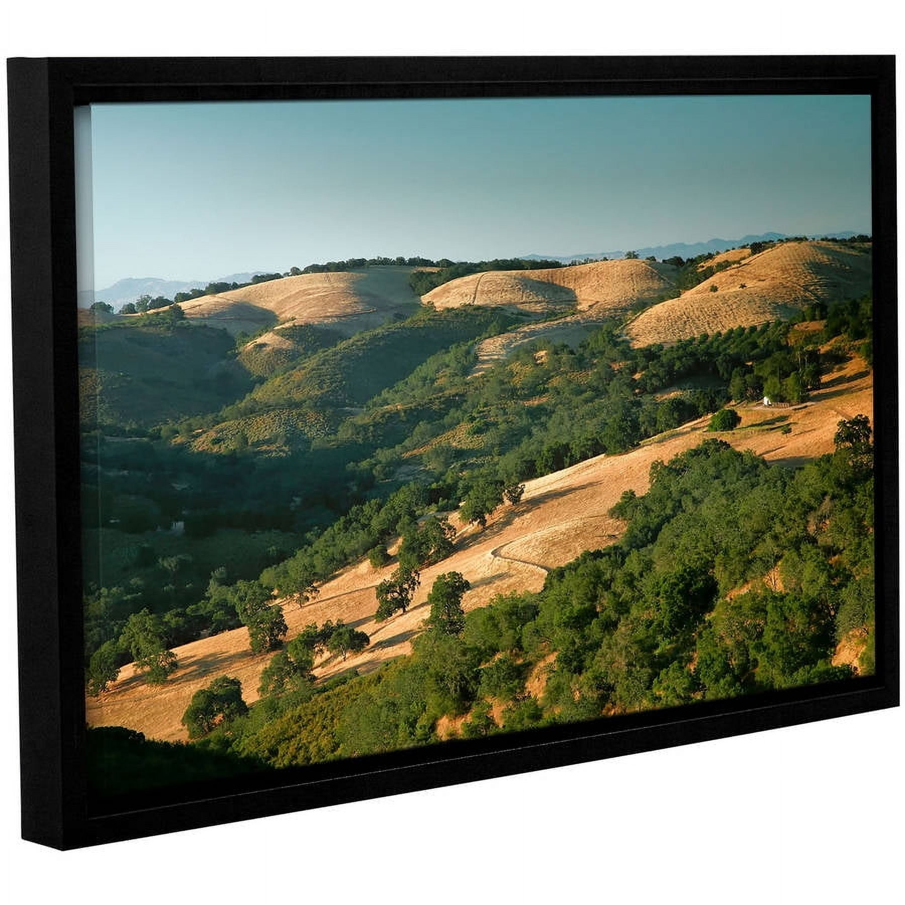 ArtWall Steve Ainsworth "Hills of California" Gallery-Wrapped Floater-Framed Canvas