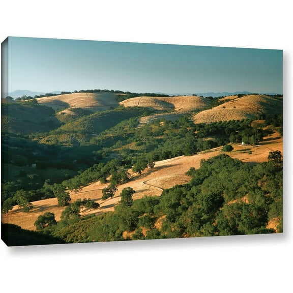 ArtWall Steve Ainsworth "Hills of California" Gallery-wrapped Canvas