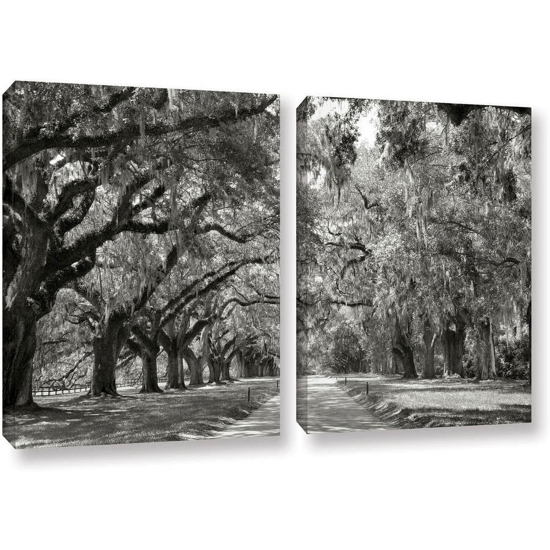 ArtWall Steve Ainsworth "Live Oak Avenue" 2-Piece Gallery-Wrapped Canvas Set