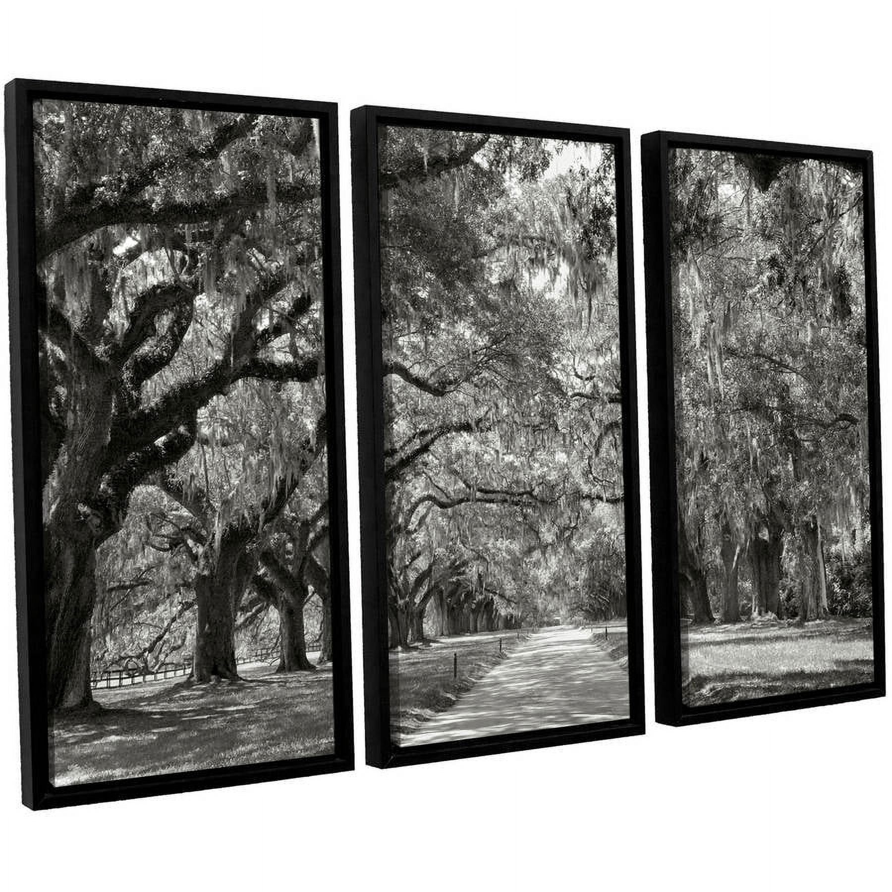 ArtWall Steve Ainsworth "Live Oak Avenue" 3-Piece Floater-framed Canvas Set