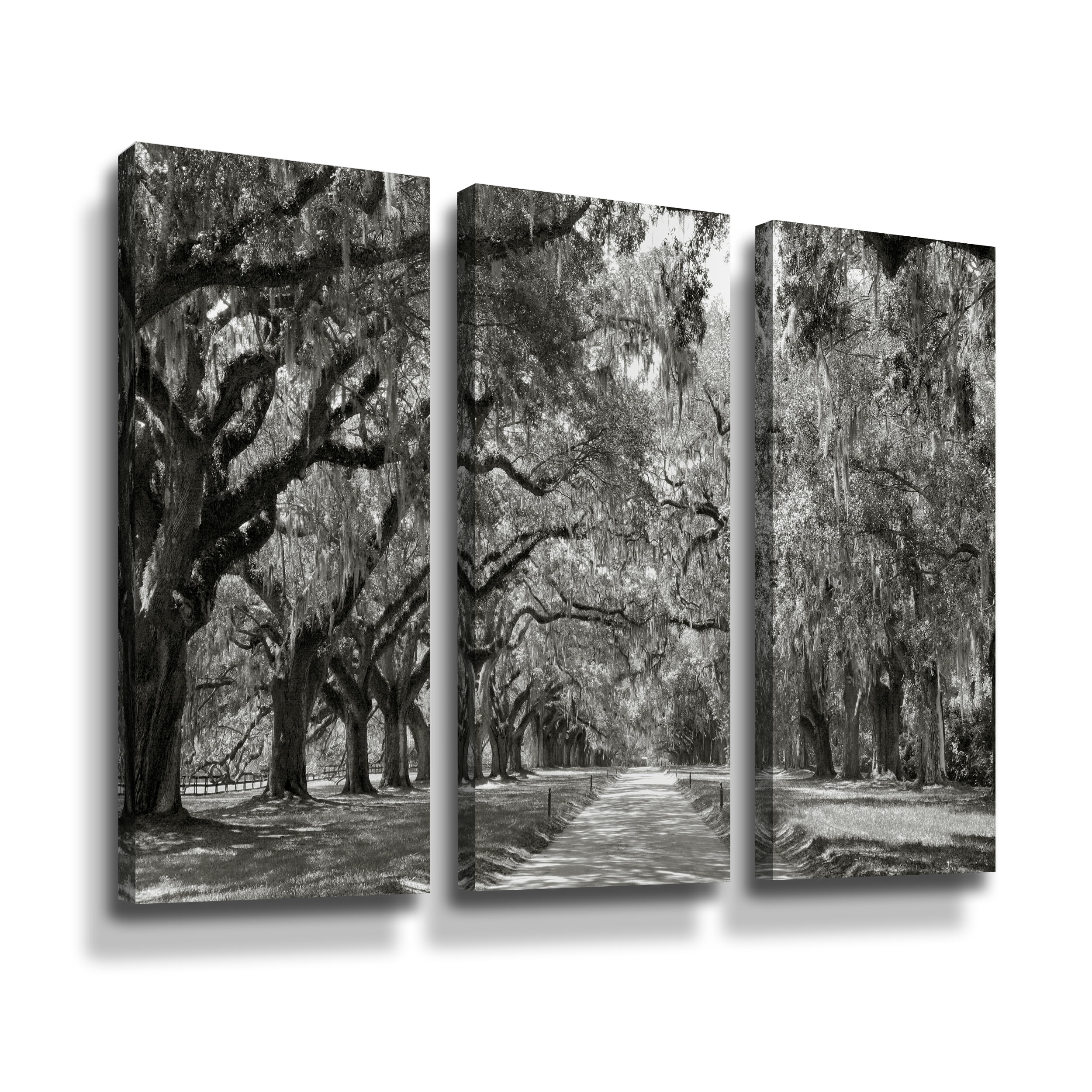 ArtWall Steve Ainsworth Live Oak Avenue Wall Art