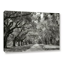 ArtWall Steve Ainsworth Live Oak Avenue Wall Art