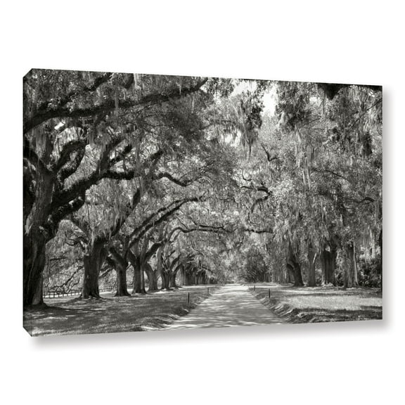 ArtWall Steve Ainsworth Live Oak Avenue Wall Art